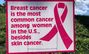 Photo of Breast Cancer Fact Poster: Breast Cancer is the most common cancer among women in the U.S. besides skin cancer.