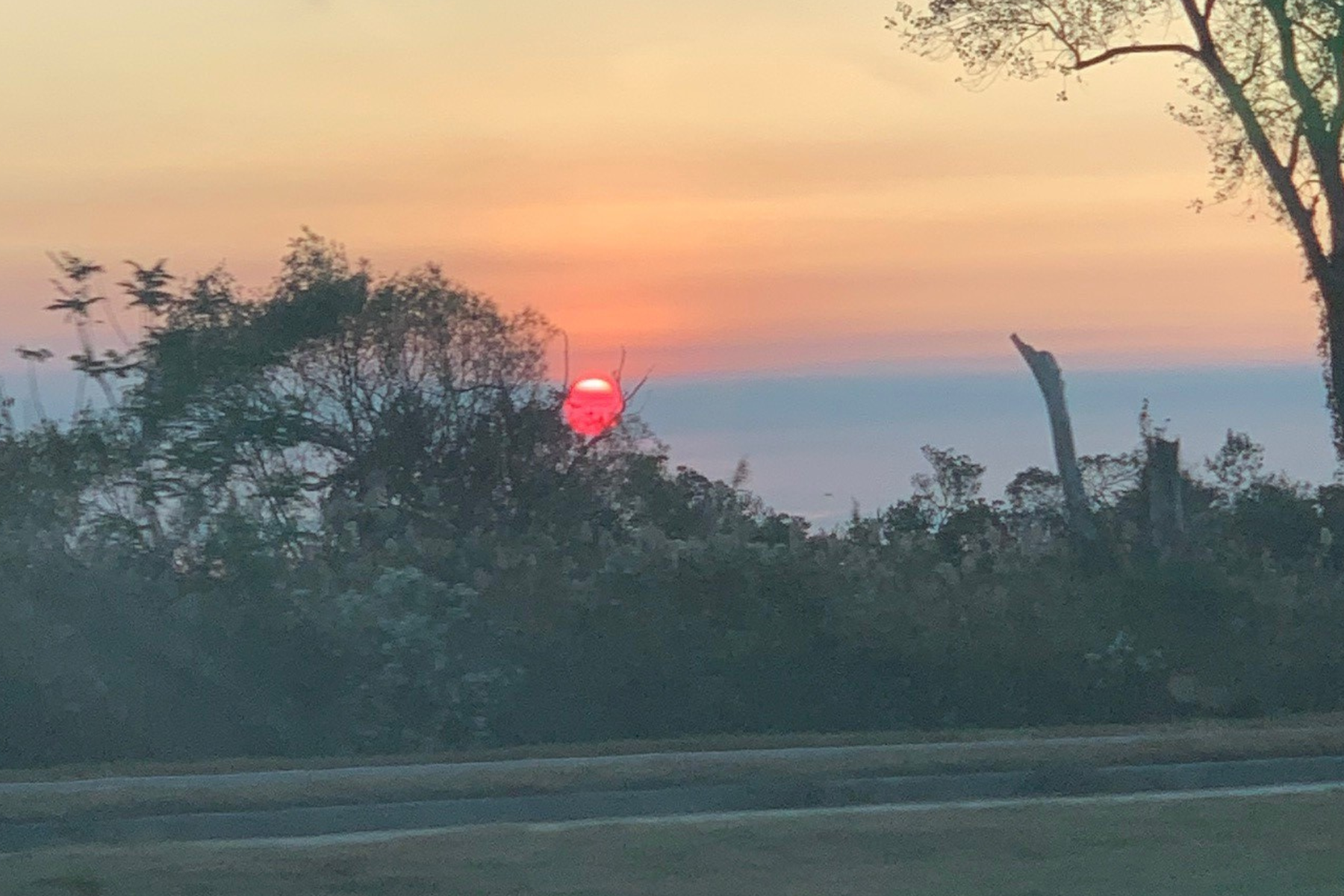 Sunrise view of the road at Making Strides 2020 Drive Through photo of orange sun rising behind trees.